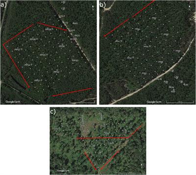 Coupled Assessment of Fire Behavior and Firebrand Dynamics